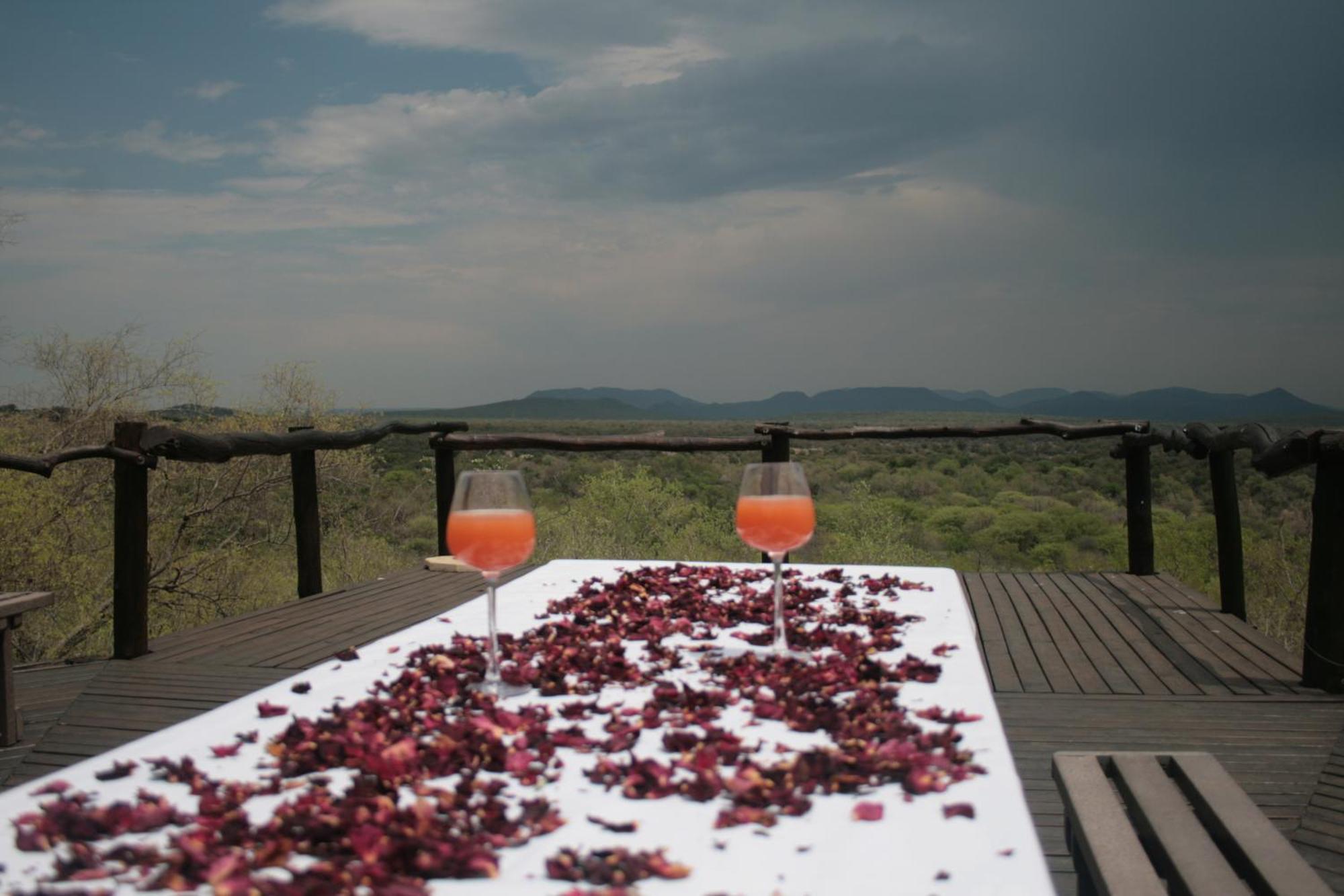 Thabaledi Game Lodge Brits Exterior foto